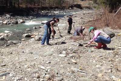 White River Partnership tree planting