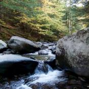 Emily Hancock Brook